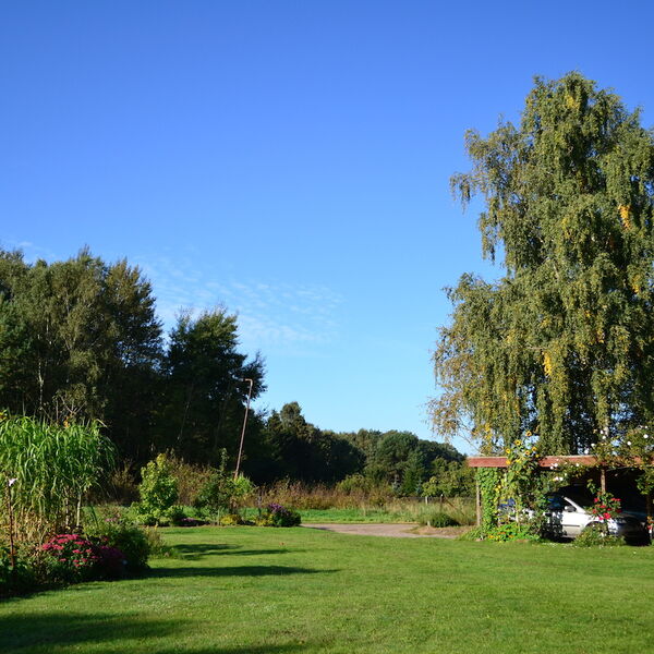 Der Garten