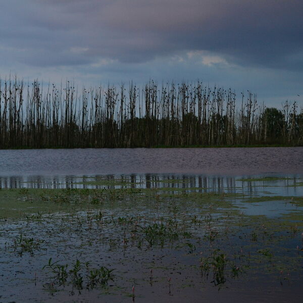 Naturpark Peenetal